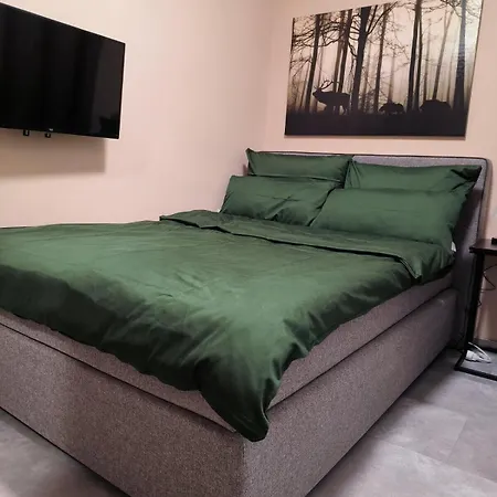 Harz-high-end-ferienwohnung-nicholas * Goslar